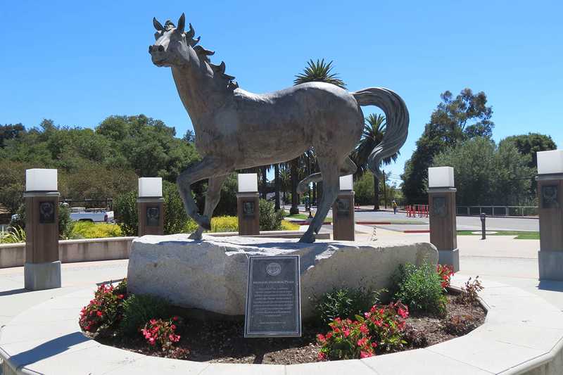 Mustang horse set within the Cal